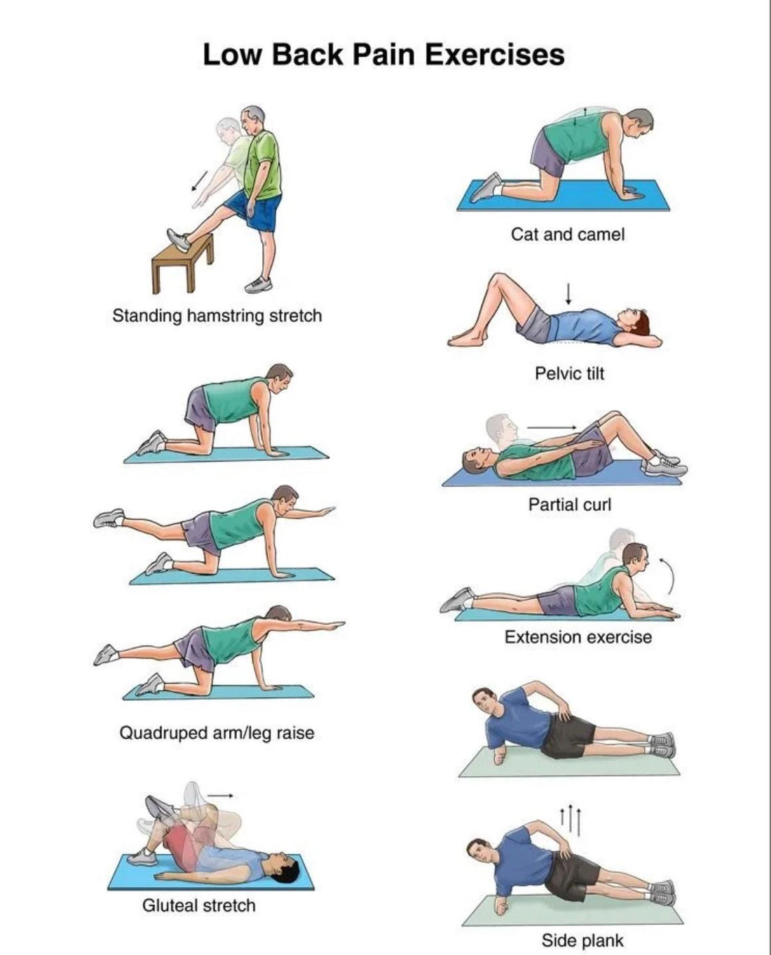 Low Back Pain Exercises