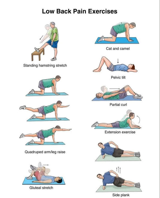 Low Back Pain Exercises