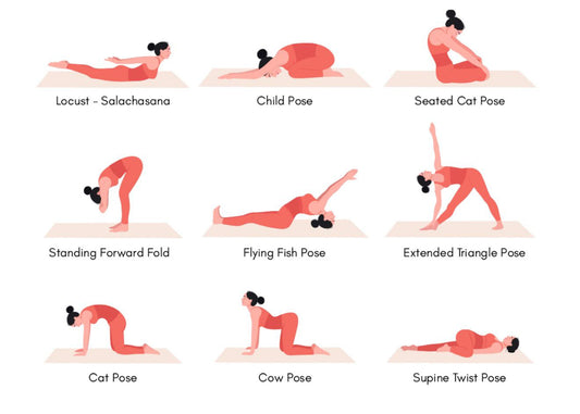 Mid Back Pain Exercises